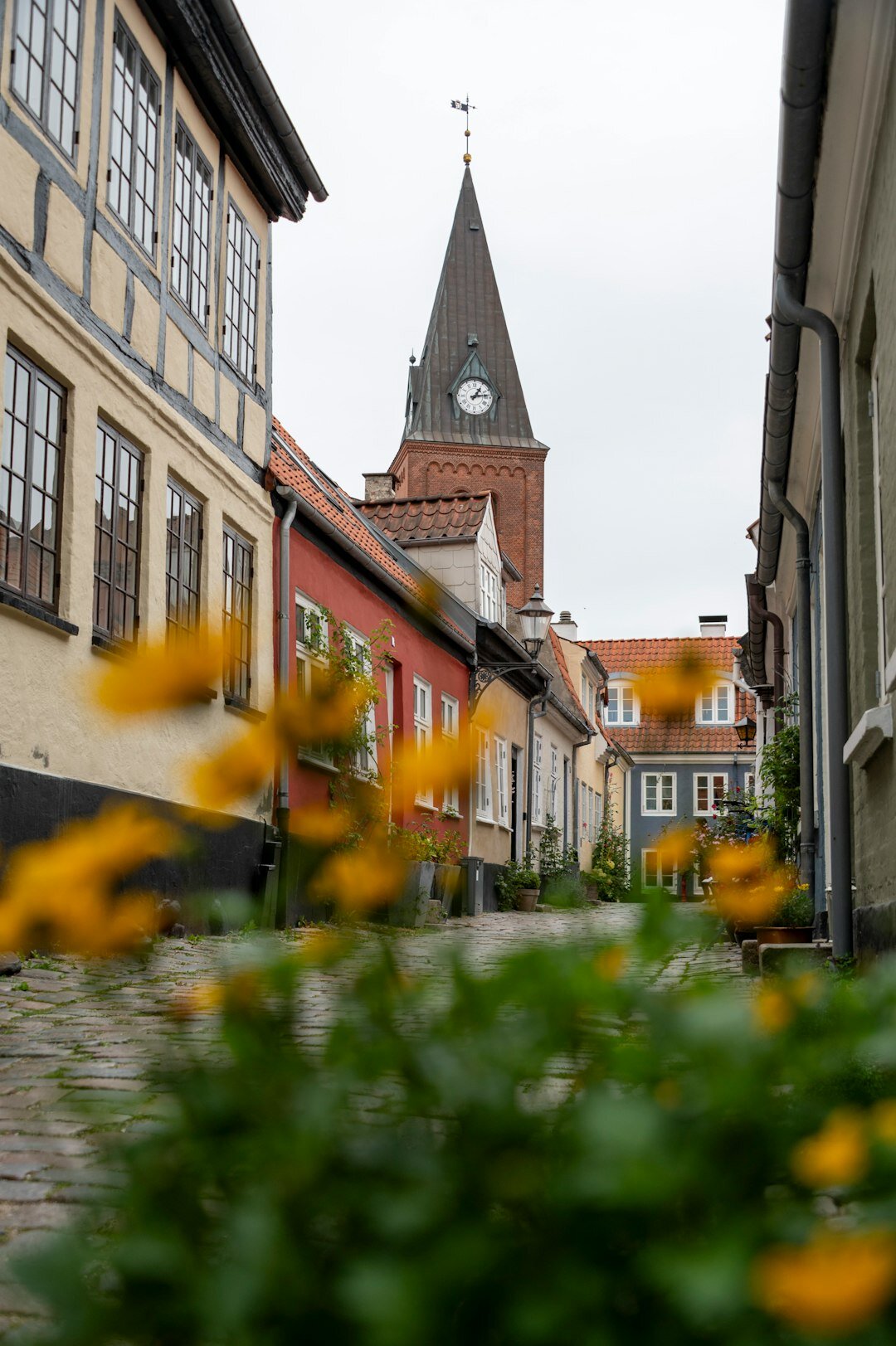 photographer in danish village