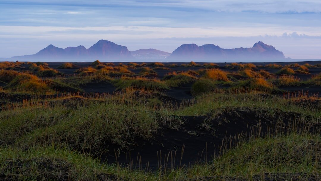 Rugged Nordic coastline with grass dunes